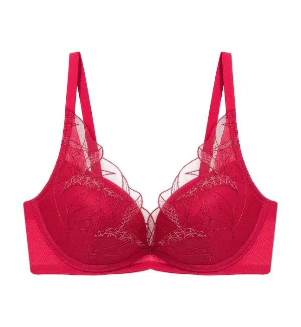 Áo Lót Aqua Paradise Có Gọng Mút Nâng Cổ Chữ V